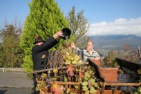 Tradicionalni običaj na martinovo na Brjah - furman pobira vino pri domačih vinogradnikih. 