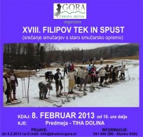 Plakat - filipov tek in spust 2013