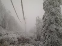 Takole danes izgleda na Gori, foto: M. Tomažič